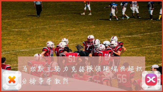 马尔默主场力克赫根领跑瑞典超积分榜争夺激烈