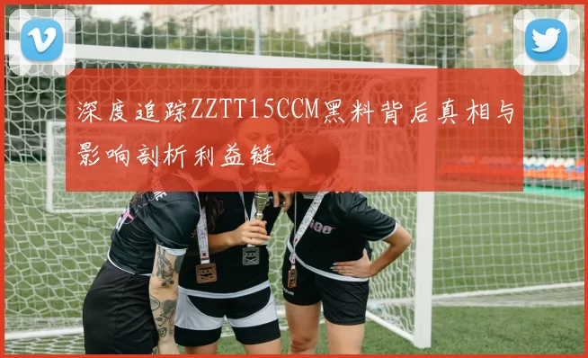 深度追踪ZZTT15CCM黑料背后真相与影响剖析利益链