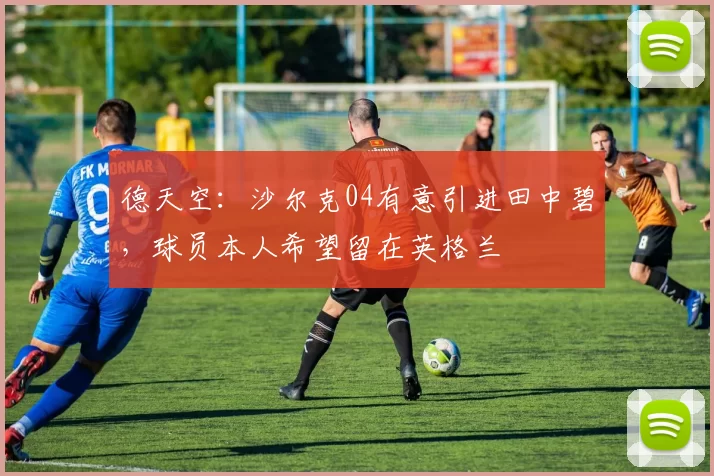 德天空：沙尔克04有意引进田中碧，球员本人希望留在英格兰
