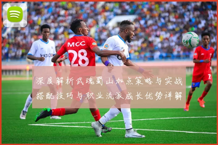 深度解析武魂蜀山加点策略与实战搭配技巧与职业流派成长优势详解